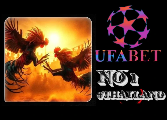 การชนไก่